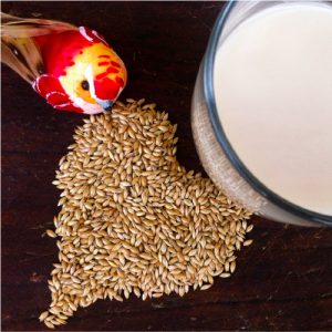 Recetas de leche alpiste