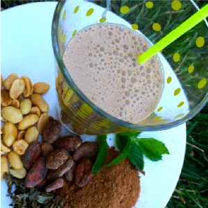 Recetas de leche de cacahuete