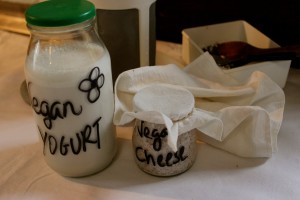 Cashew yogurt and vegan cheese