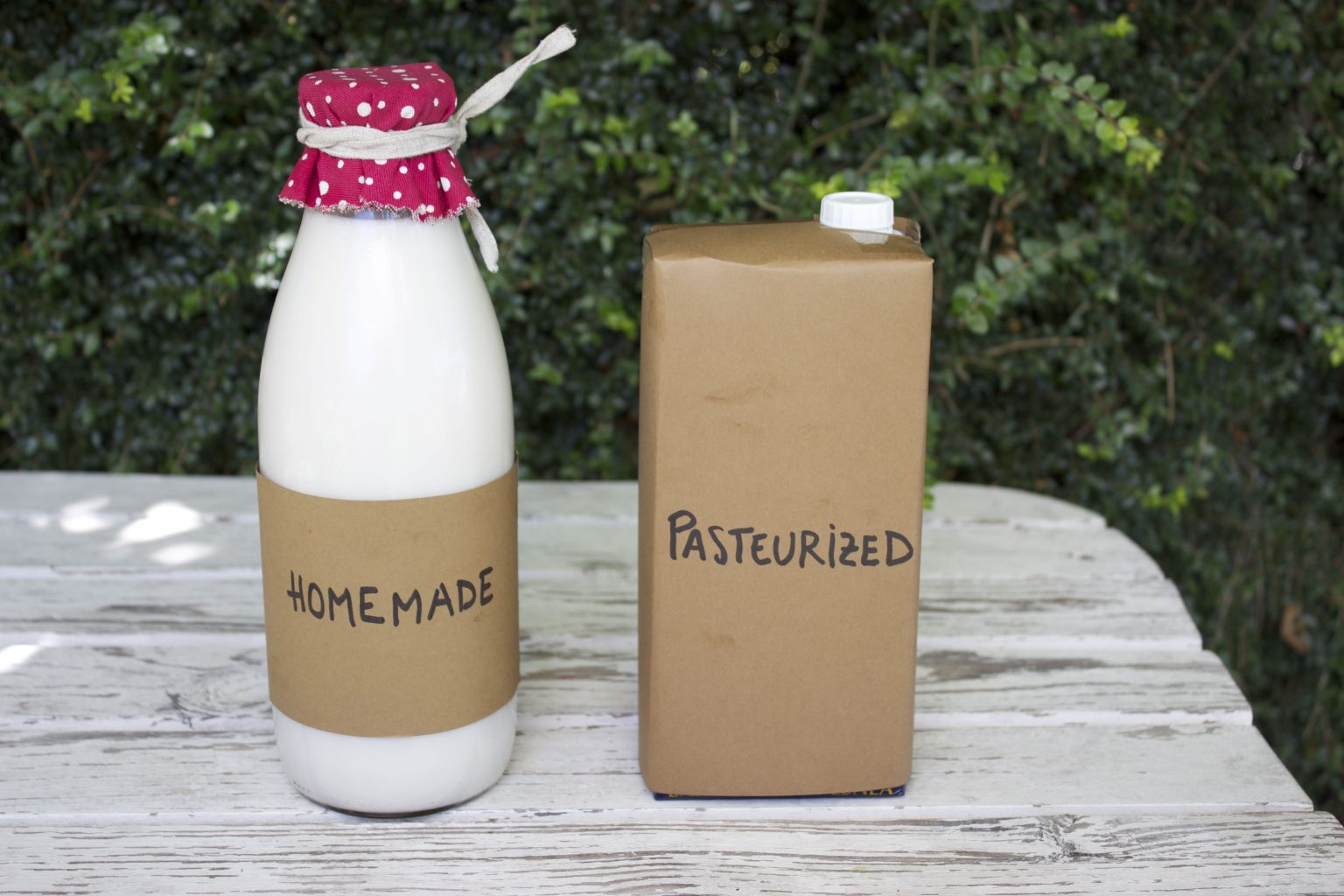 The best vegan milk to use in coffee Vegan Milker