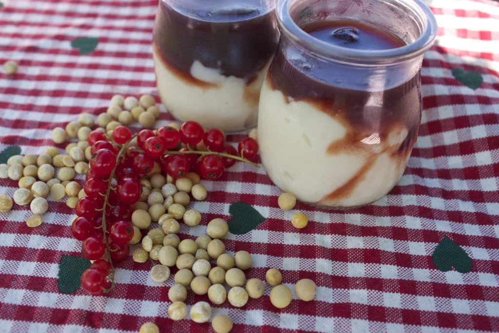 receta yogur de soja vegano dos tarros de vidrio con yogur y mermelada roja . Sobre la mesa semillas de soja y grosellas