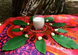 Chestnut milk with tigernuts – Video recipe