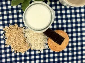 Хорчата от тигрови ядки с оризово мляко без захар - "Tigernut Horchata" 3 IMG 2016 1