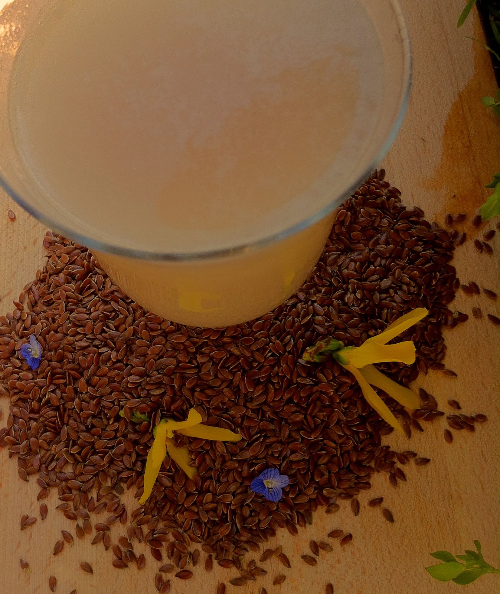 Lait végétal de graines de lin marron - Vegan Milker