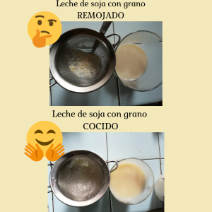 LECHE DE SOJA CASERA COMPARATIVA 