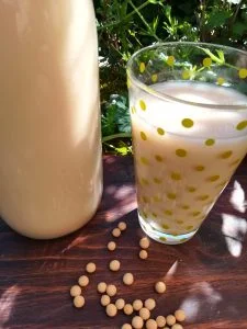 recette vegan du lait de soja fait maison
