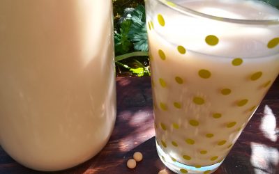 Homemade Soya Milk from Cooked Beans