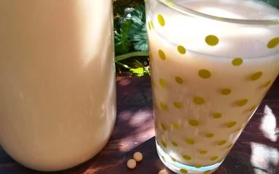 Homemade Soya Milk from Cooked Beans