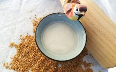 Como hacer leche de linaza casera: preparación y beneficios