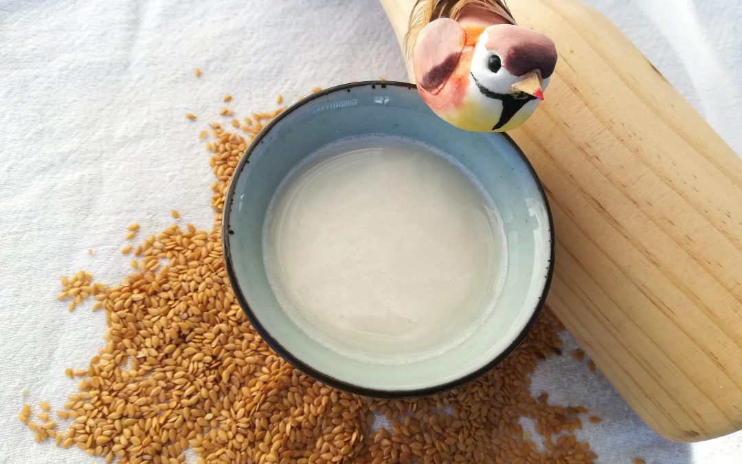 Comment faire du lait de lin: préparation et avantages