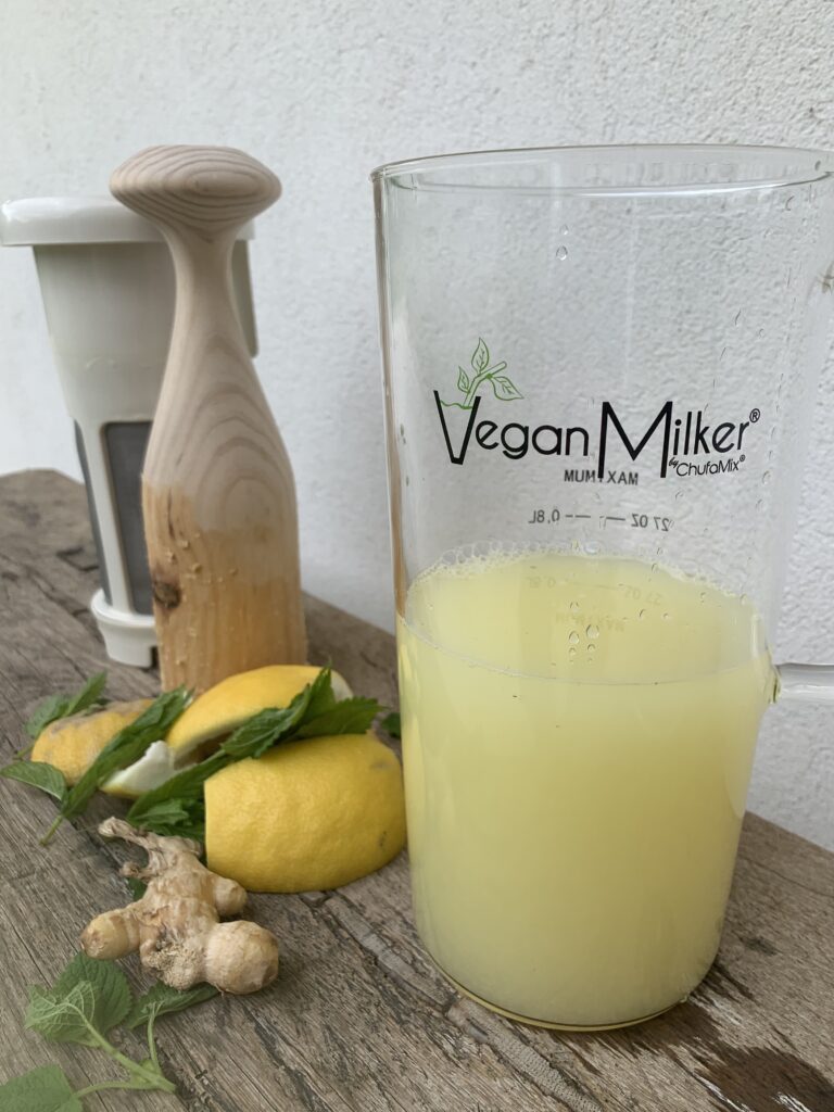 bebidas vegetales