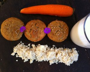 recette crudivegan de madeleine okara 