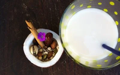 Preserving homemade plant milks at home