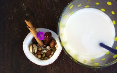 Las 5 leches vegetales caseras con más calcio – Recetas Veganas