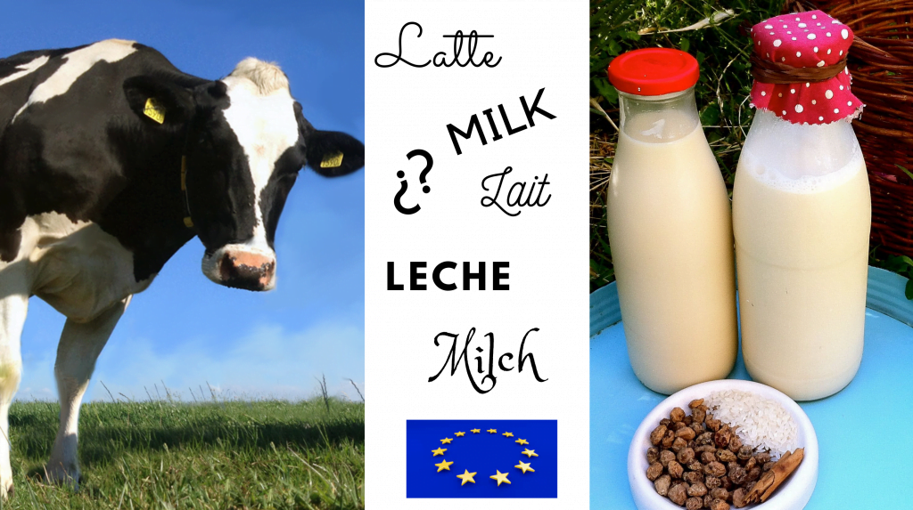 imagen de vaca a un lado y leche vegetal al otro y en medio termino leche escrito en 5 idiomas diferentes con signos de interrogacion y logo de europa