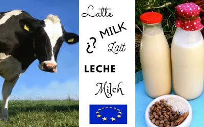 Vuelve el debate sobre el término ‘leche vegetal’