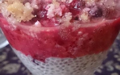 Budino di latte di mandorla con frutti di bosco ricoperto di briciole di polpa