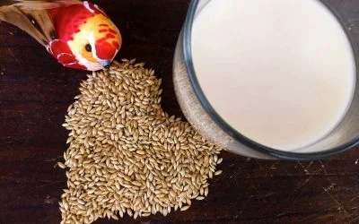 Properties of birdseeds’ milk