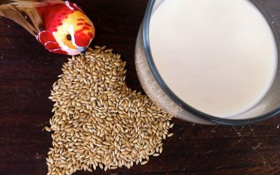 Canary seed milk