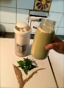 Vegan recipe of canary seed milk and nettles