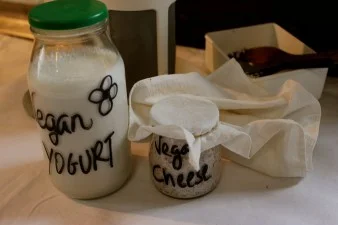 Cashew Yogurt and Vegan Cheese (video recipe)