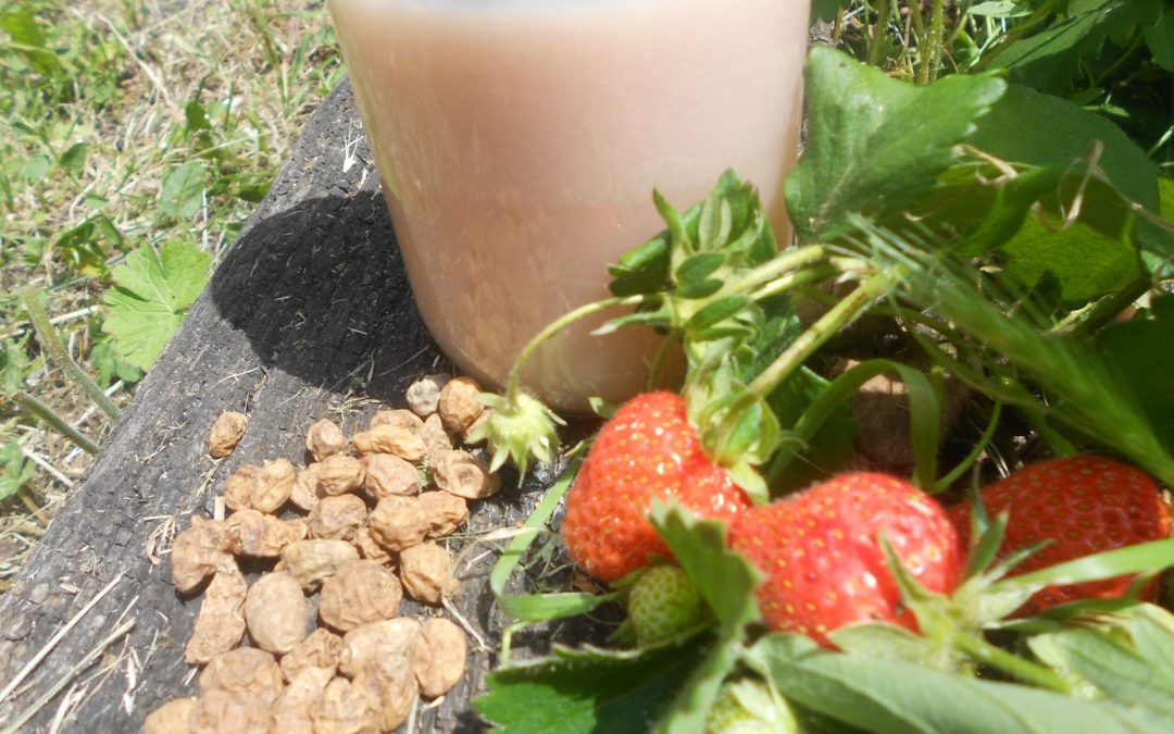 Horchata de chufa con fragole