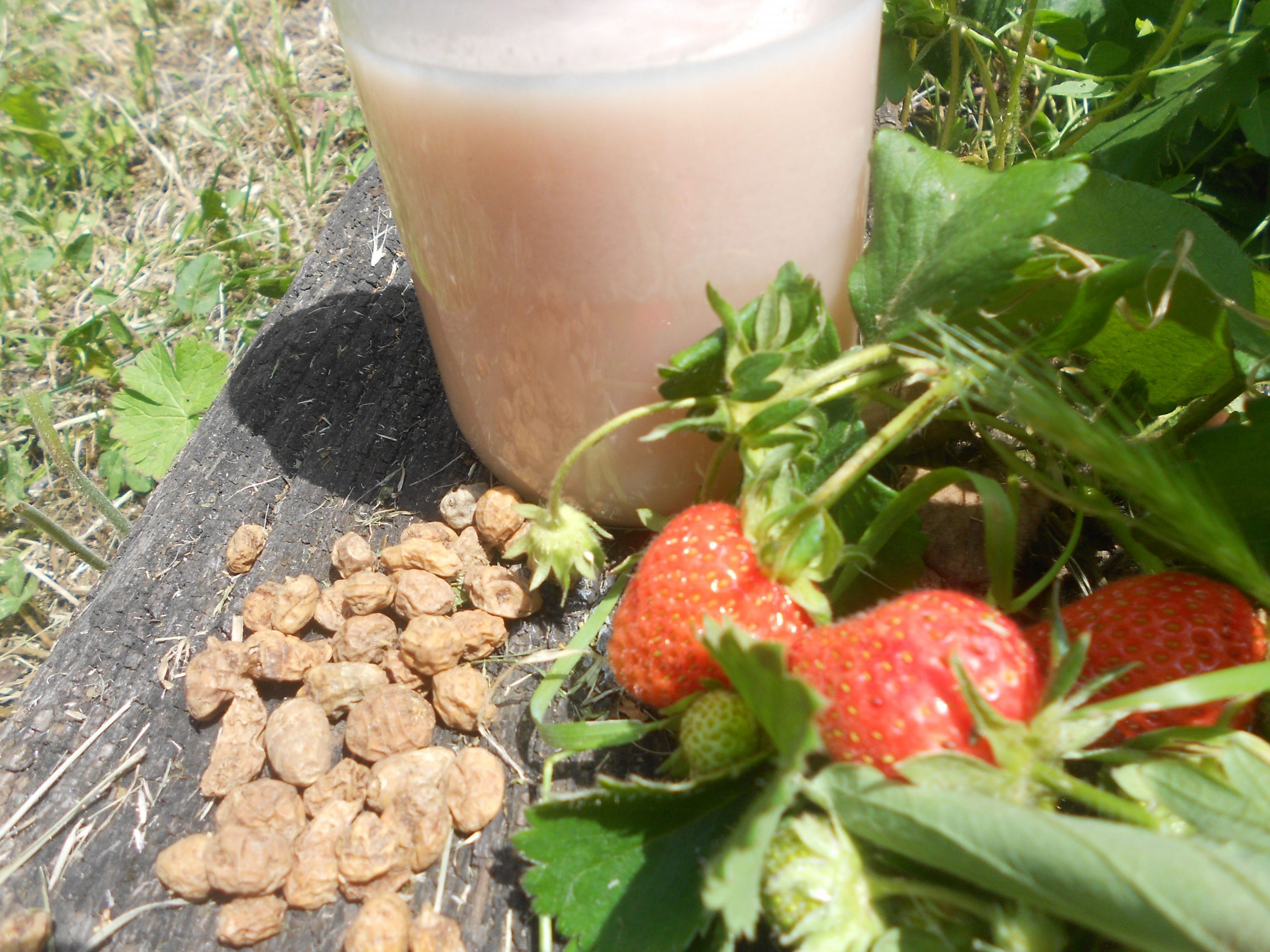 Receta vegana de horchata de chufas con fresas