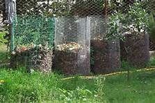 compost area of a family garden