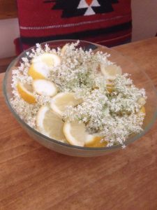 Fiori di sambuco con il limone in attesa del getto di acqua calda zuccherata.