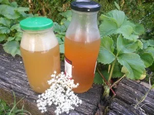 Jus de fleurs de sureau