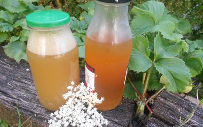 Elderflower juice