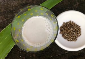 Vegan recipe of hemp milk with aloe