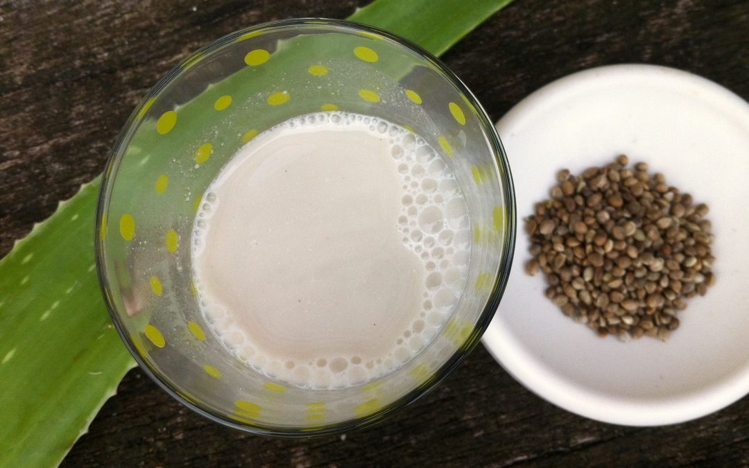Comment “vitaminer” et minéraliser les laits végétaux avec le gel d’Aloès Vera