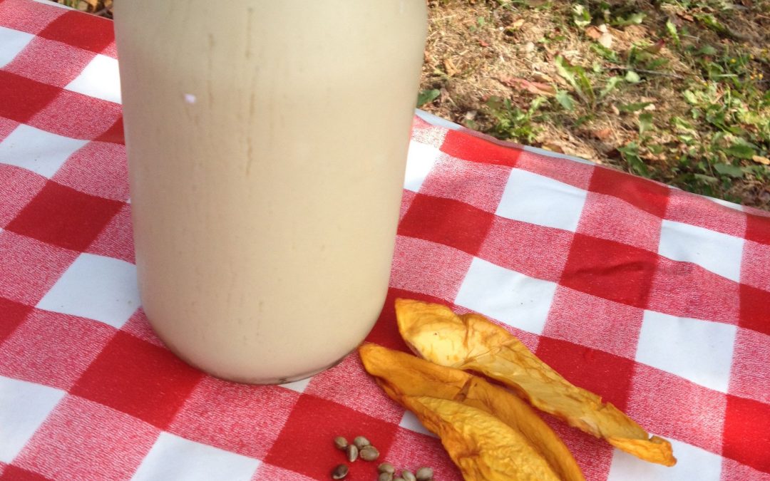 Homemade hemp and mango milk (video recipe)