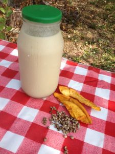 vegan recipe of homemade hemp milk