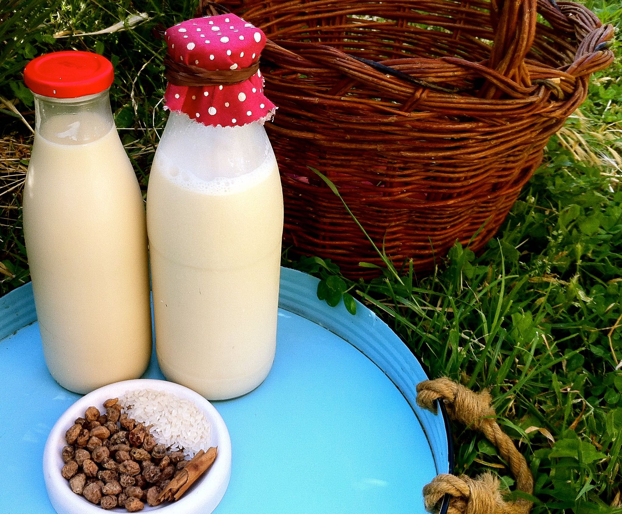 Reismilch-Rezepte archivos - Vegan Milker