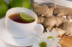 infusiones