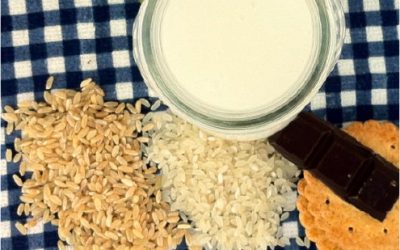 Die besten Reismilch-Rezepte