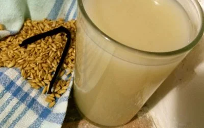 Lait d’avoine aux grains crus