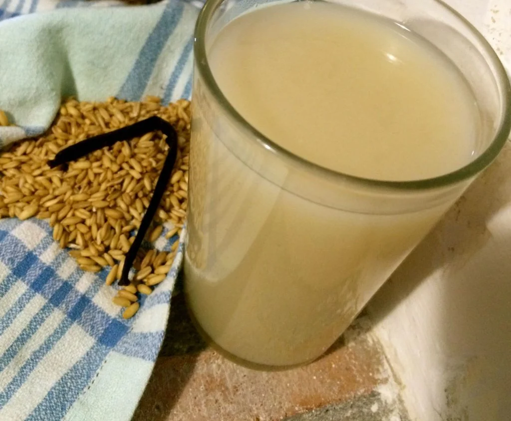 vaso con leche de avena con grano crudo de avena al lado