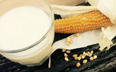 Latte di mais fatto in casa con Vegan Milker