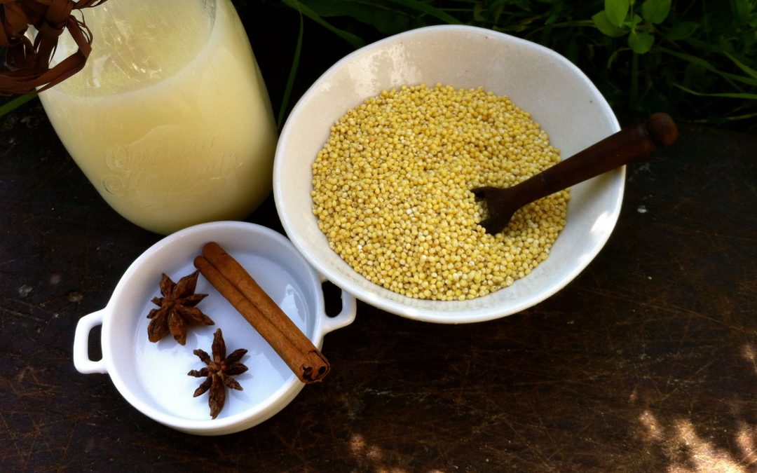 Millet milk with aniseed and cinnamon – gluten free