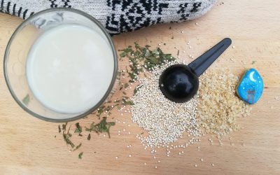 Lait de quinoa fait maison: bienfaits et recette
