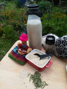 fondo de jardin y sobre mesa de madera botella de leche casera de quinoa junto a muñeca y gorro andinos y cuenco con semillas de quinoa 