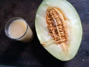 Jus de Pépins de Melon – VIDEO RECETTE