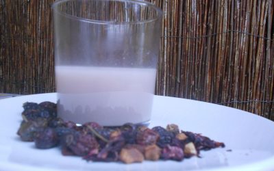 Lait d’avoine sur base d’une infusion de fruits des bois