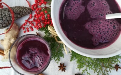 Vegan alcohol-free Christmas punch