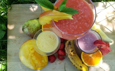 Como hacer zumos de frutas naturales con tu Vegan Milker 