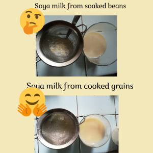 soy milk comparison and vegan recipes