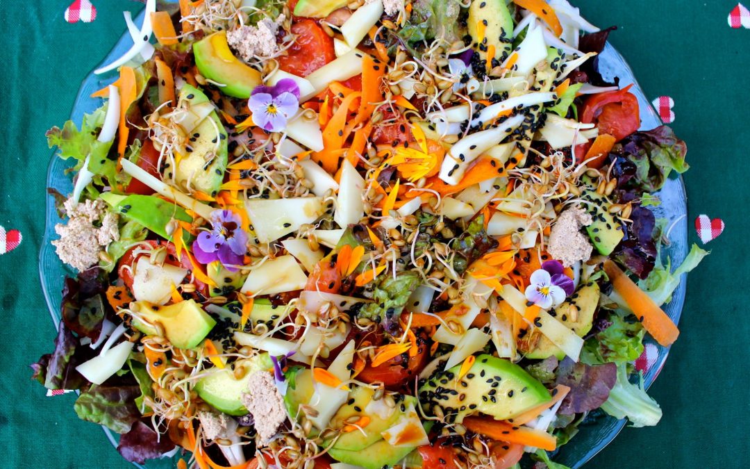 Salad with vegan walnut cheese and flowers